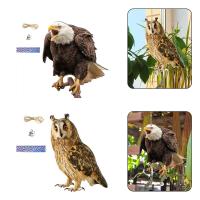 Dispositivo De Repelente De Pájaros Colgante Con Águilas Falsas Decoración De Jardín Y Protección Contra Pájaros Material Plástico - details 0
