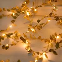 Cadena De Luces LED De 20 LEDs Pequeñas Hojas Doradas 2M Para Decoración De Boda Fiesta Navidad DIY Con Alambre De Cobre Potenciado Por Batería - details 3