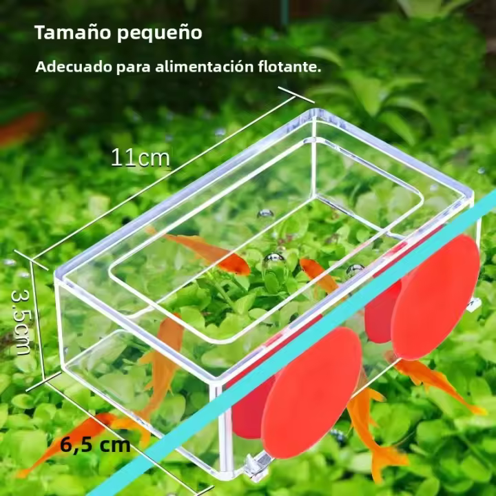 Anillo De Alimentación Para Acuario Plataforma Flotante De Alimentos Con Ventosa Fuerte Accesorio Para Tanque De Peces - 1