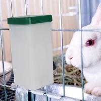 Botella De Agua Para Mascotas Dispensador De Alimento Colgante Para Perro Guisante Conejo Conejo Surtidor De Agua Para Mascotas Suministros - details 7