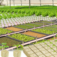 36/50Pcs Iniciadores De Plagas De Esponja Y Poliestireno Para Cultivo En Casa Jardín Herramientas De Suministros De Invernadero Cubos De Medio De Cultivo Hidroponía - details 4