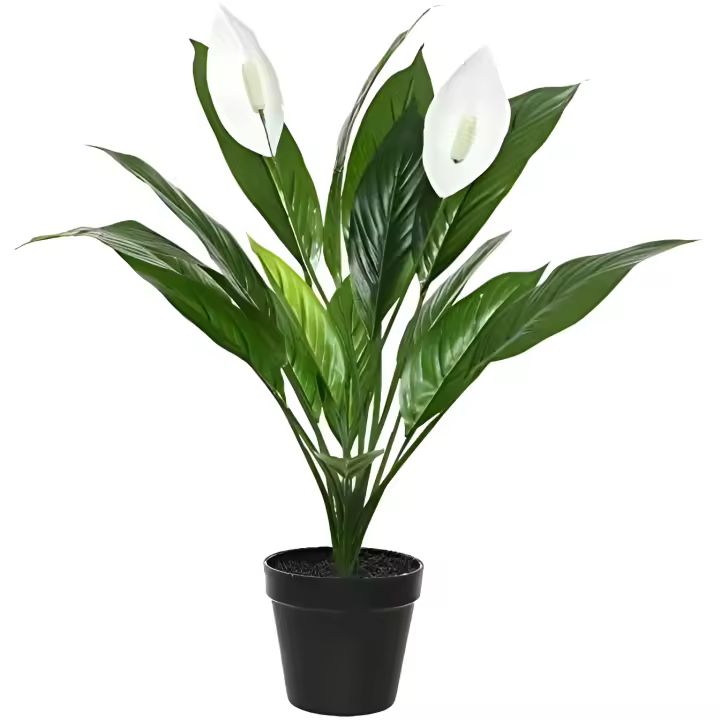 *ultimas unidades* planta artificial espatifilo 45x57cm - 1