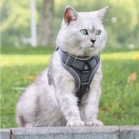 Harnés Para Perros Y Gatos Resistente Al Escape Transpirable Con Correa Para Caminar Al Aire Libre Control Fácil Harnés Reflejo Para Mascotas - details 5