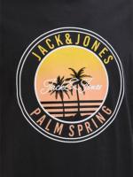 Jack & Jones SS25 Hombre Pack 2 Camisetas de Algodón Mod JJPALM TEE CREW logo estampado Moda Casual Informal REF 269418 - details 3