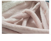 Manta De Peluche Coral Con Capucha Estilo Japonés Para Adultos Y Niños Manta Suave Y Cálida Para El Invierno Uso En Casa Viajes Picnics - details 8