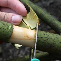 Tijeras De Podar Para Árboles Portátiles De Alta Carbono Herramienta De Enraizamiento Para Jardín Y Plantas En Macetas Corte De Ramas Y Aro De Árboles - details 3
