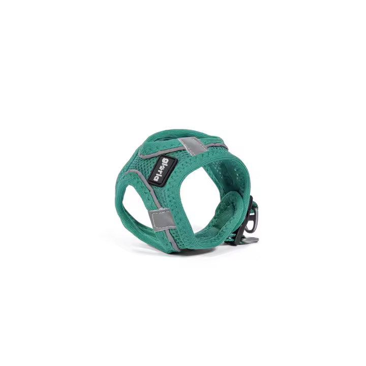 Arnés para Perro Gloria Trek Star 29,4-32,6 cm 41,4-43 cm Turquesa S - 1