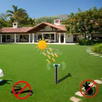 Repelente Ultrasonido Solar Electrónico Repelente De Ratas Serpientes Insectos Alta Potencia Vibración Batería Integrada IP64 Exposición Solar Para Exterior - details 11