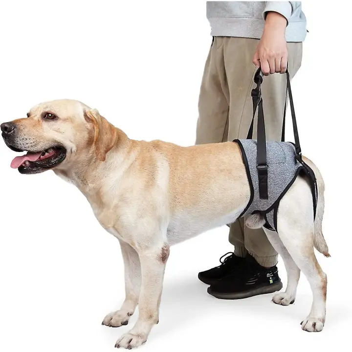 Sling de perro para Perros grandes Soporte de Puerta trasera para contribuir a la Rehabilitación Las extremas traseras de Perros Ancianos con discapacidades de patias traseras débiles - 1