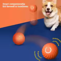 Bola De Juguete Para Perros Automática Moverse Saltando Rodar USB Inteligente Interactivo Chomp Para Puppies Material Plástico - details 2