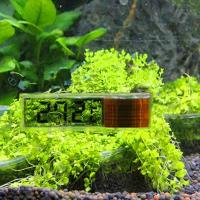 Medidor De Temperatura Electrónico LCD 3D Para Acuario Termómetro Para Tanque De Peces Control De Temperatura Accesorios De Jardín Y Cuidado Del Hogar - details 1