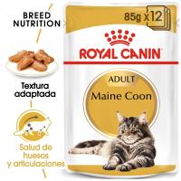 Precio Especial por Caducidad 09/05/2025-Royal Canin Gato Maine Coon Sobre Húmedo 10X85g - details 1