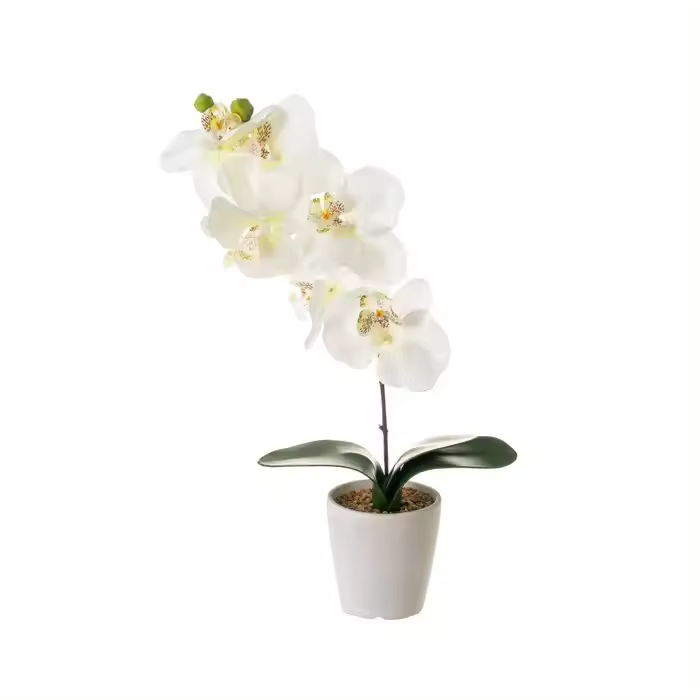 Factory Cuadros Cuadros Cuadros Cuadros Cuadros Cuadros - Planta Orquídea Poliéster 11x45cm - Maceta Cemento 10x4cm - 1
