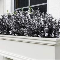 Vine De Eucalipto Artificial Negro Hojas De Eucalipto Decorativas Plásticas Para Decoración De Hogar Fiestas Jardín Propiedades Fotográficas - details 2