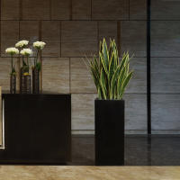 Plantas Artificiales Sansevieria 32/37cm Para Decoración De Jardín Y Hogar Plástico Bonsái DIY Falso Verde Para Interior Y Exterior - details 7