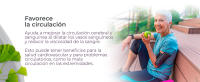 Extracto de Ginkgo Biloba Soria Natural 50ml - details 2