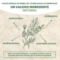 Crema para Cara y Cuerpo con Árbol de té Australian Company Tea Tree, 100 ml Purificante, para Pieles impuras con aloe vera orgánico - details 2