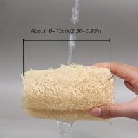 6/10pcs Esponja De Loofah Natural Para Lavar Platos Escobilla De Limpieza Microfibra Para Cocina Scouring Pad Y Pot Brush - details 1