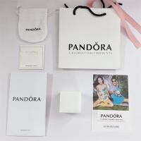 Bolsa de Regalo de Pandora Cajas de Regno grandes y Pequeños (Aptas para colgantes, Collares, anillos, pendientes, tachuelas, etc., only cajas de GIFT, no incluye Joyas) - details 0