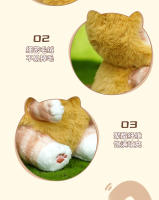 Muñeco De Peluche Kawaii De Gato Largo Original Mofusand 10-20cm Peluche De Red Panda Y Zorro Raccoon Colgante Lindo Juguete Regalo Para Todas Las Edades - details 7