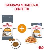 12 sobres x 85 g - Royal Canin Intense Beauty gelatina sobre para gatos - details 4