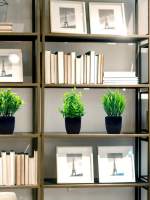 1pc Plant Artificial De Eucalipto Miniatura En Maceta Negra Para Decoración De Interiores Oficina Farmacia Baño Escritorio - details 1