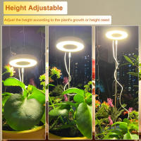 Crece la luz, luz completa del espectro LED para las plantas interiores, 5V - details 0