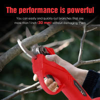 30mm Podadora eléctrica inalámbrica de 21V, tijeras de podar eficientes para árboles frutales, bonsái, 600W,cortador de ramas, herramienta de paisajismo - details 12