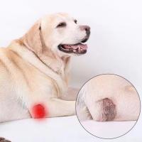 Protector De Rodilla Para Perros Mallas De Apoyo Ajustable Para Recuperación De Lesiones Articulares Y Post-Operación Accesorio Para Mascotas - details 1