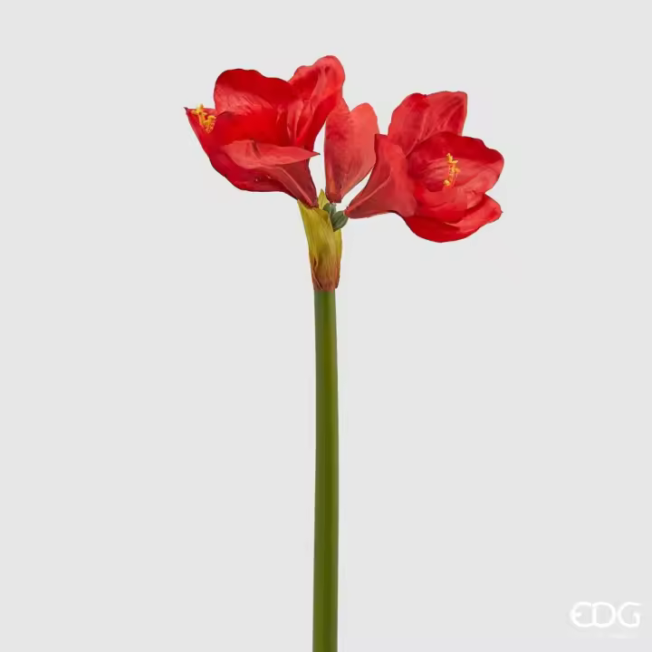 EDG Enzo De Gasperi Ramo Amaryllis Real Artificial 3 Flores H 66 Cm Rojo - 1
