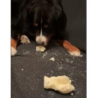 Mega-Pops de Queso para Perros, Snacks, 6 Unidades x 25 gr cada uno - Deliciosos premios para tu mascota - ANIMALUJOS - details 0
