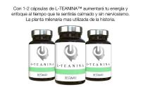 L Teanina 200 mg de Camellia Sinensis, Nootrópico Calmante 60 Cápsulas (Aminoácidos de Té Verde y Negro) Aumenta la Tranquilidad y la Concentración, L Theanine Potente, Vegano y 100% Natural, Sin GMO (L-Teanina | BestMe Lab) - details 2