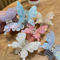 Pinza De Mariposa Dual Gradiente Para Mujer Accesorio De Cabello Coreano Dulce Y Elegante Pinza De Mordaza De Cocodrilo Para Niñas - details 0