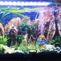 Bomba De Oxígeno Volcánica Para Acuario Adorno De Burbuja Para Tanque De Peces Decoración De Resina Para Aquario - details 6