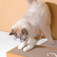 Tablero De Rasguñado Para Gatos Almohadilla De Cartón Para Moler Uñas Juguete Protector De Muebles Para Gatos Accesorios Para Gatos - details 1