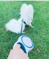 Correa Retráctil Para Perros De Medio Y Gran Tamaño 26 Pies Cuerda De Nylon Antideslizante Frenado Con Un Solo Mano Para Perros Pequeños Medianos Y Grandes - details 11