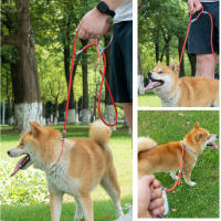 Correa Y Collar Para Perros De Nylon Doble Mano Para Entrenamiento Sin Arrastre Fuerte Para Perros Medianos Y Puppies - details 7