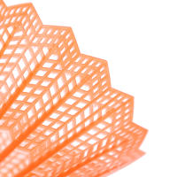 12 PCS Juego De Badminton Con Cabezas De EVA Arco Iris Y Plumas De Pato Clase a Nylon Para Juegos Deportivos - details 9