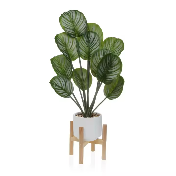 Planta Decorativa Versa - 1