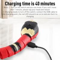 Juguete Interactivo Para Gatos Smart Sensing En Forma De Serpiente Automático Recargable Por USB Juguete Para Gatos Y Perros Pequeños - details 4