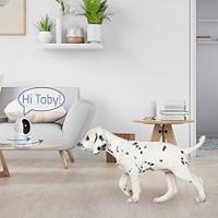 Nivian Cámara Vigilancia  domo 360º Wifi-Grabación en MicroSD(No incluida)-2K-Audio bidireccional-Deteccion humanos y auto-tracking-Apta para interior-Compatible con Amazon Alexa y Google Home–APP Tuya - details 2