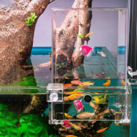Tanque De Peces De Acrílico Transparente Con Presión Negativa Decoración Ecológica Para Escritorio Ideal Para Oficina Y Hogar - details 3