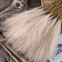 1/5PCS Flor De Pampas Artificial En Estilo INS Alta Calidad Plantas Falsas Para Decoración Bohemia De Hogar Y Jardín Para Dormitorio Y Balcones - details 8
