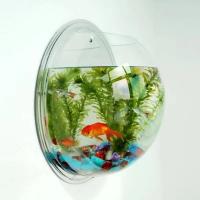 Acuario De Acrílico Para Pared Tanque De Pez Betta Y Exhibición Productos Para Mascotas Aquaticas Montaje En Pared - details 7