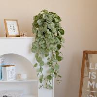 Planta Artificial De Pared Scindapsus 40-70cm Hojas De Hierba Falsa De Seda Para Decoración De Jardín Y Hogar Vines De Begonia Y Pino Fern - details 1
