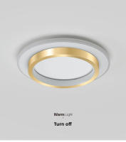 Lámpara De Techo Moderna Y Lujo Nórdica En Oro Para Sala De Estar Restaurante Pasillo Decoración Sencilla Fuente De Luz LED Incluida Vínculo 110V-220V - details 6