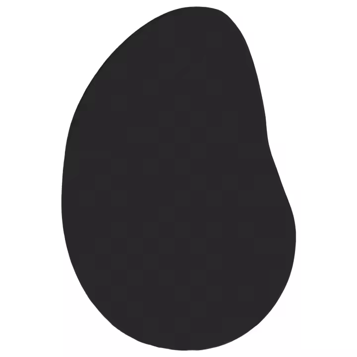 Alfombra de área vidaXL Negra 100x200 cm Poliéster Antideslizante - 1