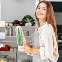 Caja De Almacenamiento Para Hierbas Frescas Como Coriandros Peras Espárragos Menta Mantener Verduras Frescas Durante 2-3 Semanas Plástico Resistente - details 8