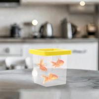 Caja De Cría De Peces Para Acuario Durable Incubador Transparente Para Guppys Y Cangrejos Caja De Isolación Para Pequeños Peces Y Alevines - details 1