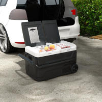 HOMCOM Nevera Compresor Portátil 40L con Doble Zona Refrigerador de Coche -20℃-20℃ 12 / 24V DC y 100-240V AC Nevera Eléctrica con Luz LED y Asa Telescópica para Caravanas Viajes 80x47,5x46,6 cm Negro - details 1